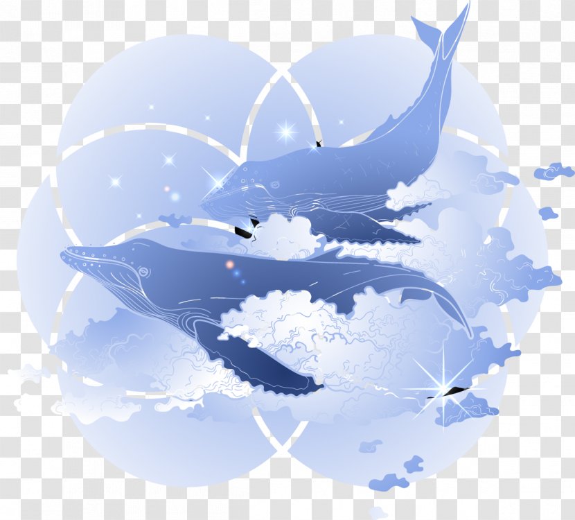 Humpback Whale Blue - Dolphin - Blue-purple Transparent PNG