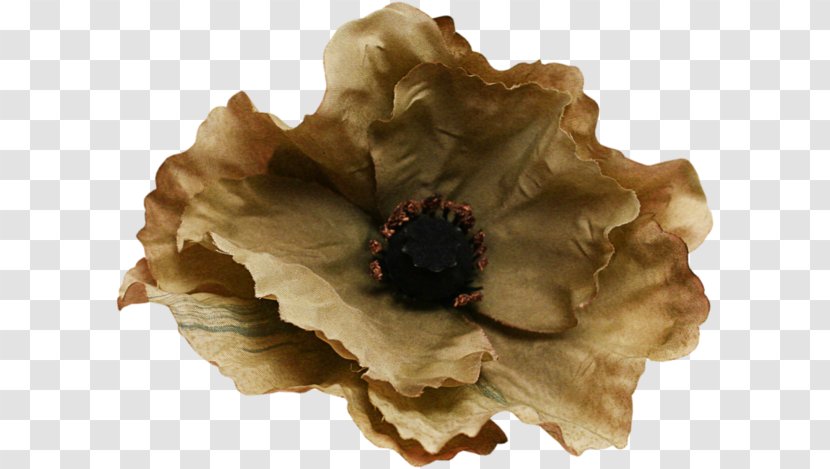 Lossless Compression Photography Clip Art - Flower Transparent PNG