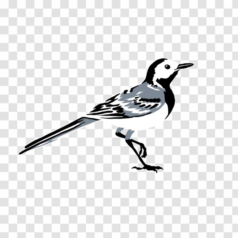 Cartoon Bird - Lark Wildlife Transparent PNG