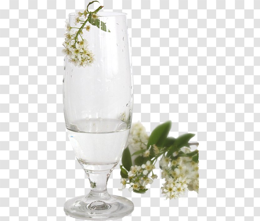 Cocktail Wine Glass Drink Jasminum Nudiflorum - Drinkware - Jasmine Cup Material Free To Pull Transparent PNG