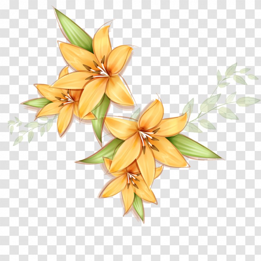 Flower Yellow Lilium Petal - Plant - Creative Hand-painted Lily Flowers Transparent PNG