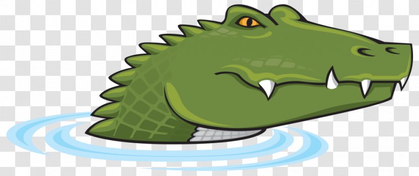 Crocodile Clip Art Alligators Illustration - Alligator Transparent PNG