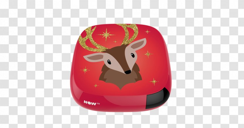 Snout - Reindeer - Design Transparent PNG