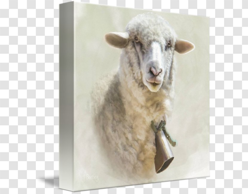 Sheep Gallery Wrap Canvas Art Printing Transparent PNG