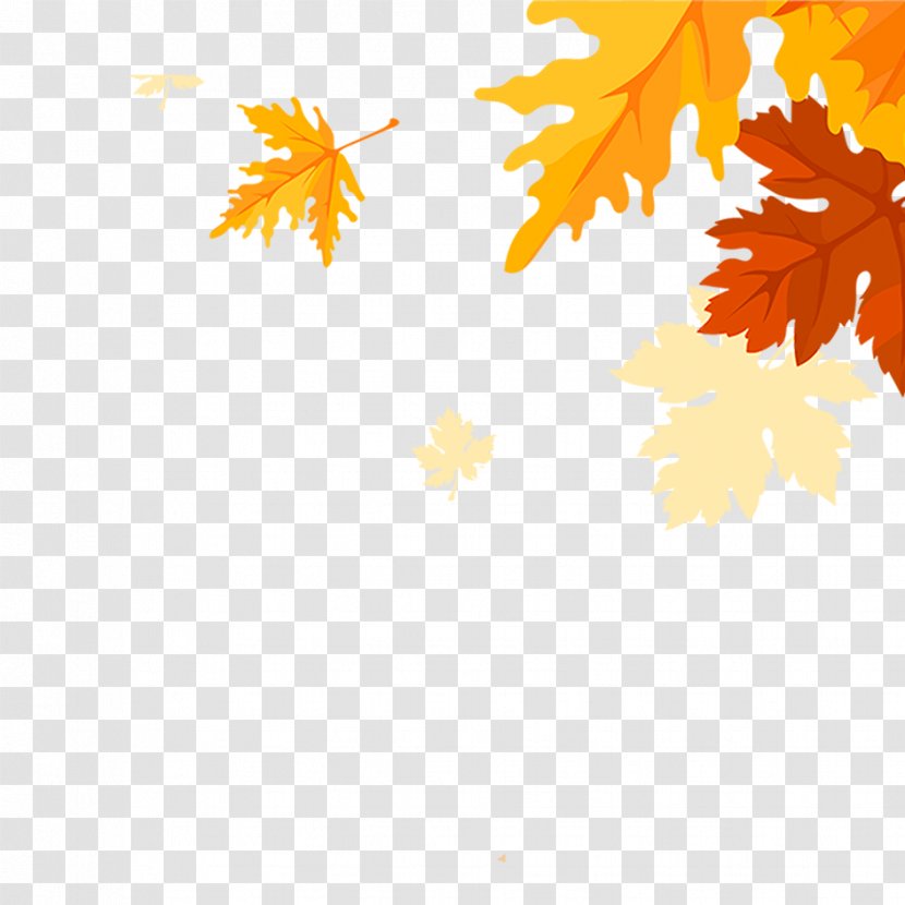 Maple Leaves Falling - Template - Tree Transparent PNG