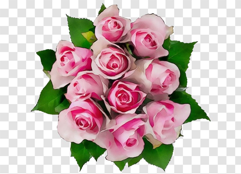 Garden Roses - Rose Family - Bouquet Transparent PNG