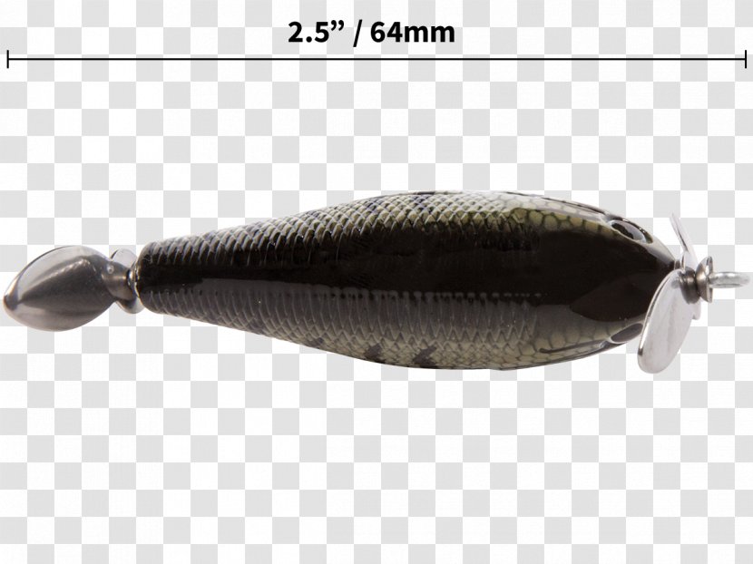 Product Fish - Large Mouth Bass Transparent PNG