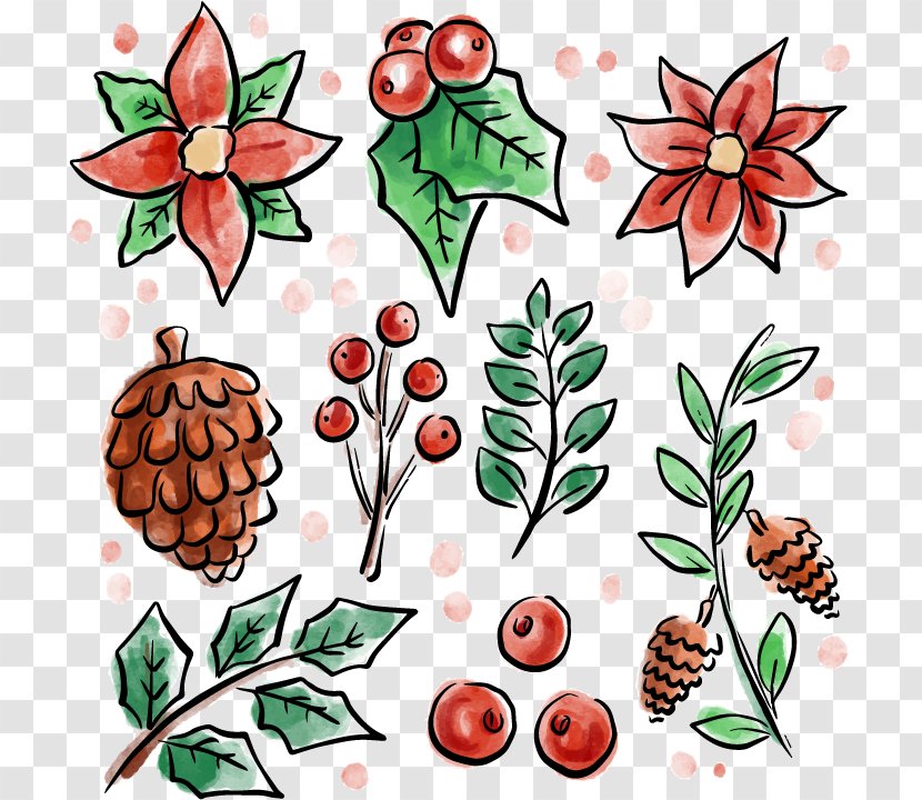 Watercolor Painting Flower Drawing Euclidean Vector - Organism - Christmas Elements Transparent PNG