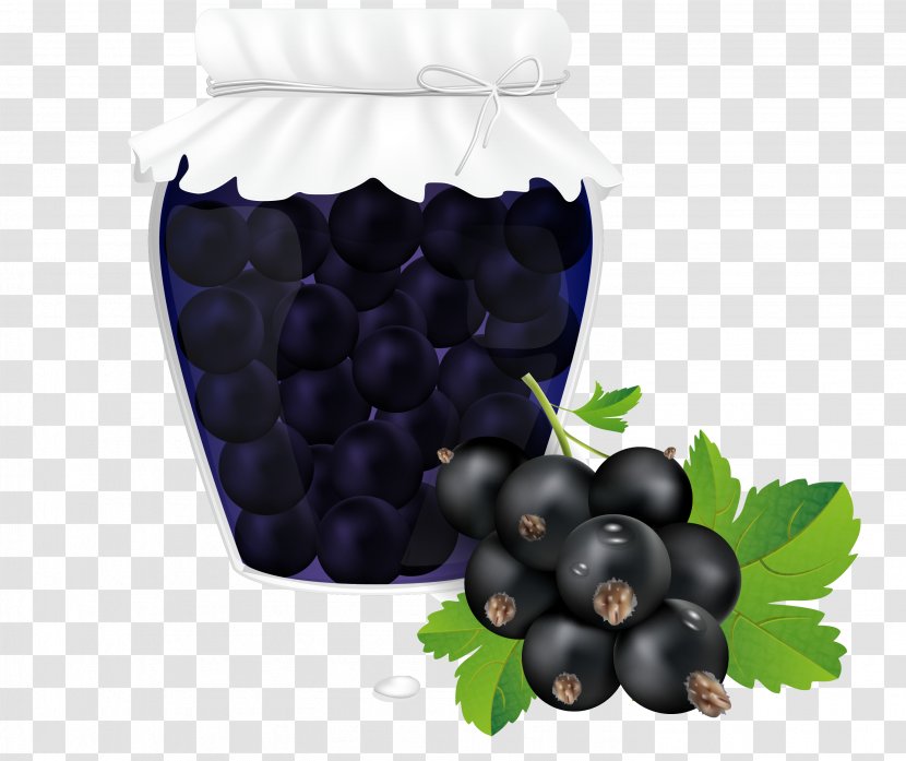 Fruit Preserves Blueberry - Blackcurrant - Vector Jam Transparent PNG