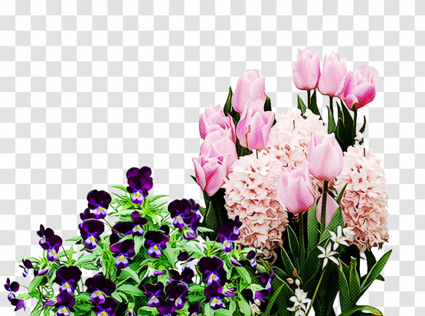 Floral Design Transparent PNG