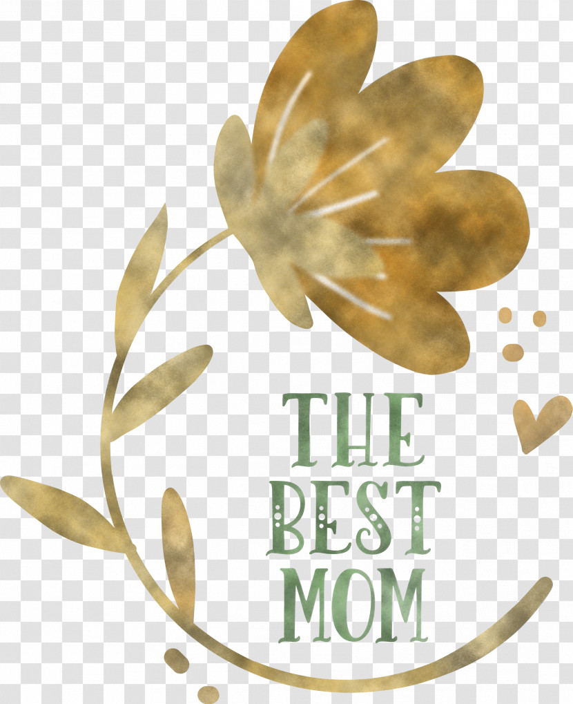 Mothers Day Happy Mothers Day Transparent PNG