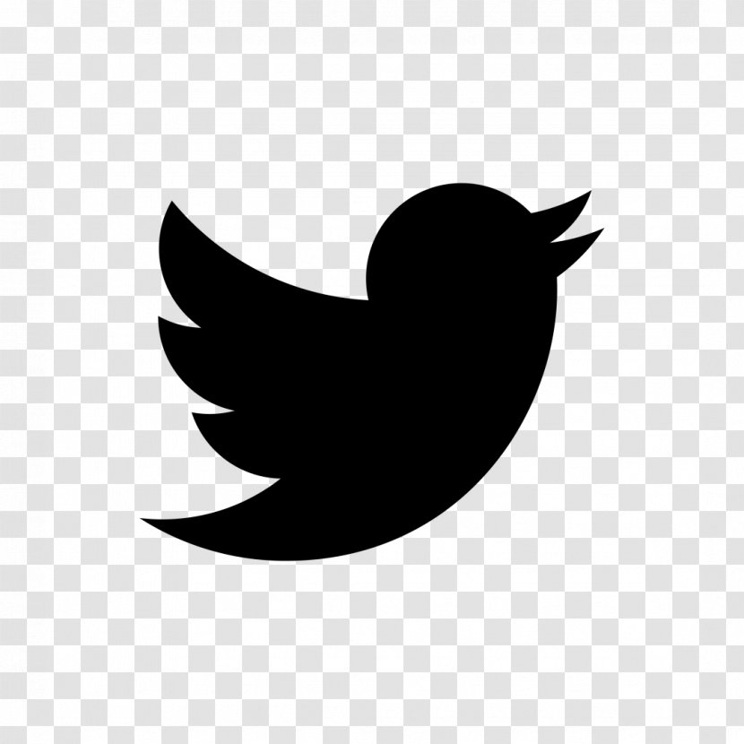 Social Media Internet Blog Twitter - Blue Bird Transparent PNG