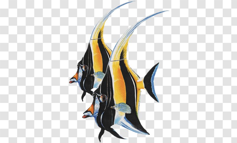 Coral Reef Background - Angelfish - Animal Figure Fictional Character Transparent PNG