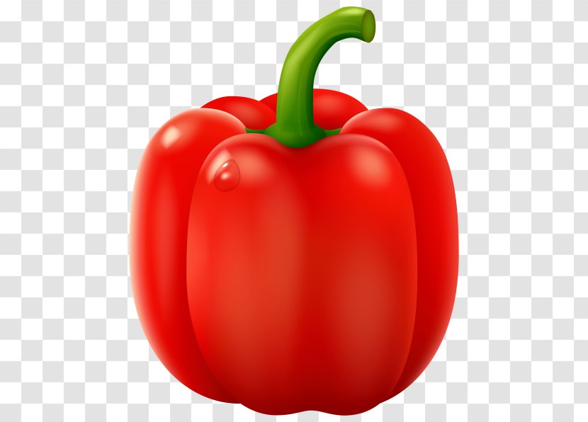 Green Bell Pepper Chili Clip Art Cayenne - Peppers - Vegetable Transparent PNG