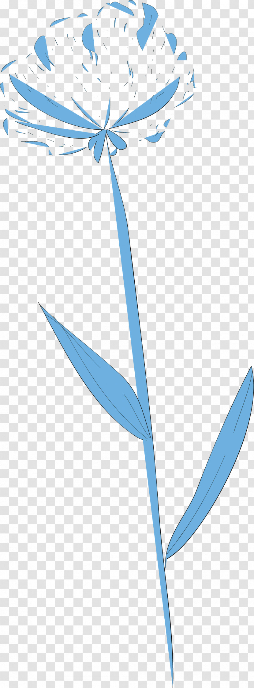 Simple Leaf Simple Leaf Drawing Simple Leaf Outline Transparent PNG