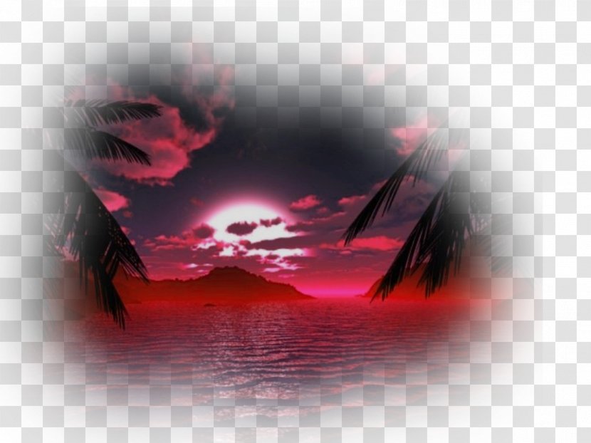 Desktop Wallpaper Screensaver Free - Pink - Retro Rose Transparent PNG