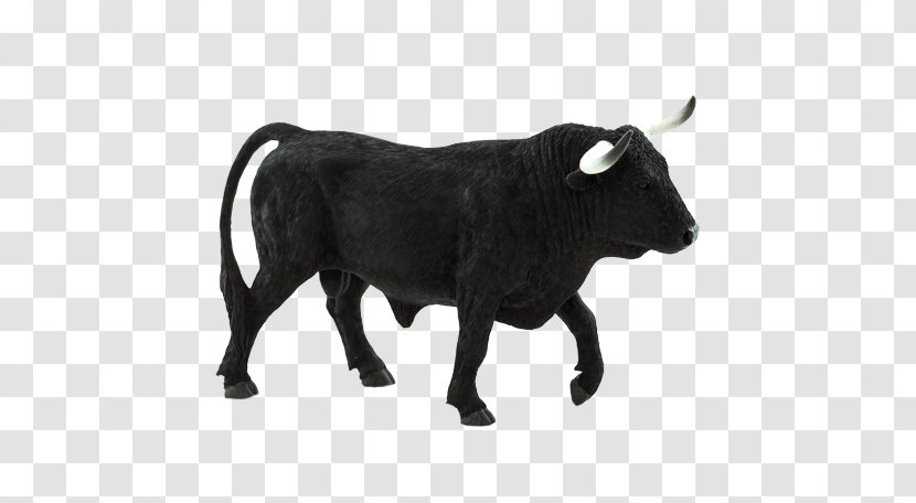 Spanish Fighting Bull English Longhorn Texas Highland Cattle Transparent PNG