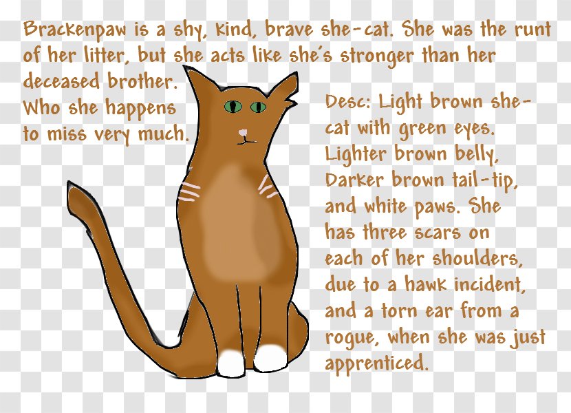 Whiskers Cat Dog Canidae - Small To Medium Sized Cats Transparent PNG