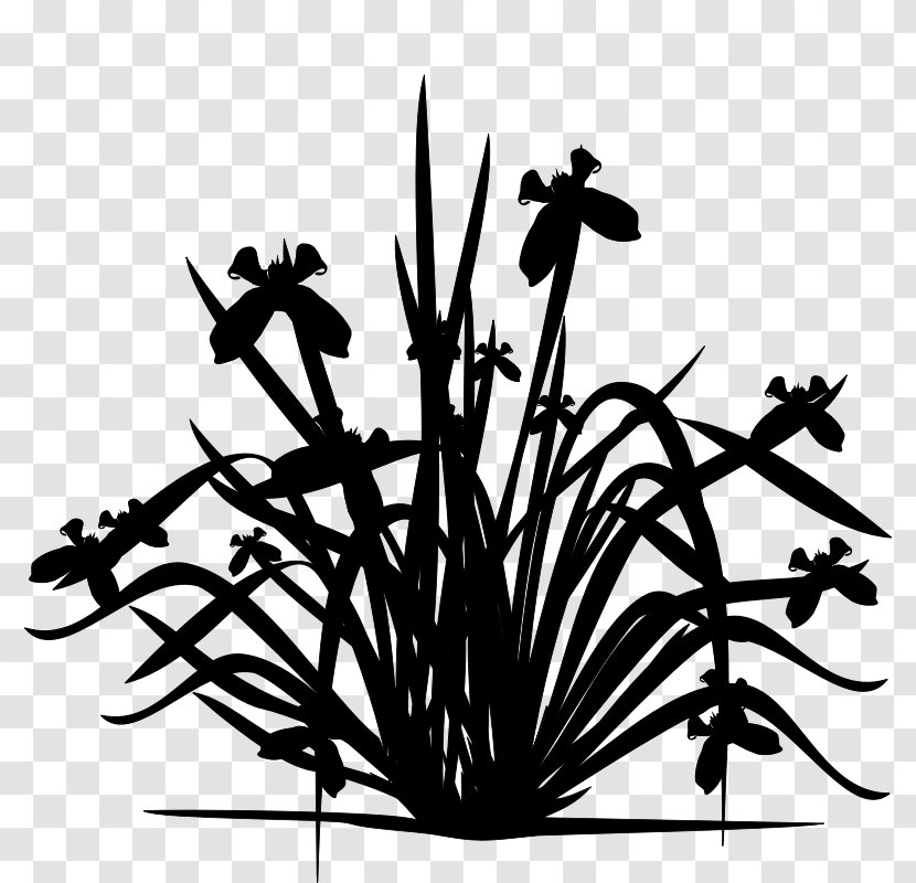 Twig Flowering Plant Stem Clip Art - Silhouette Transparent PNG