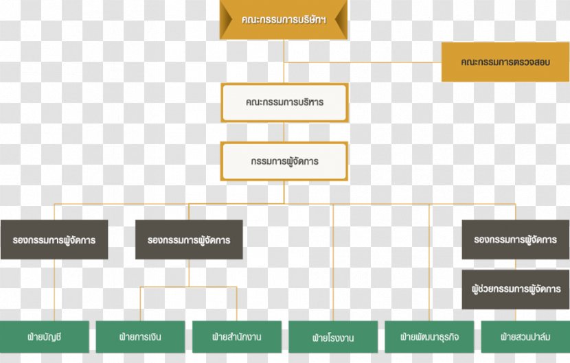 Organizational Chart Limited Company Vichitbhan Palmoil - Public - Organisation Charts Transparent PNG