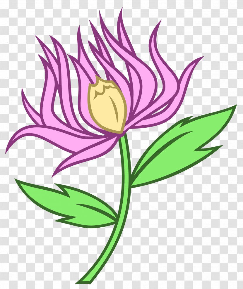 Cut Flowers Chrysanthemum Pony Clip Art - Purple Transparent PNG