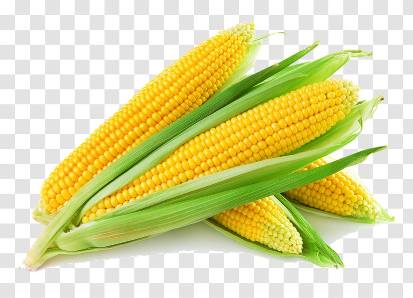 Corn On The Cob Maize Corncob Sweet Cereal - Vegetarian Food Transparent PNG