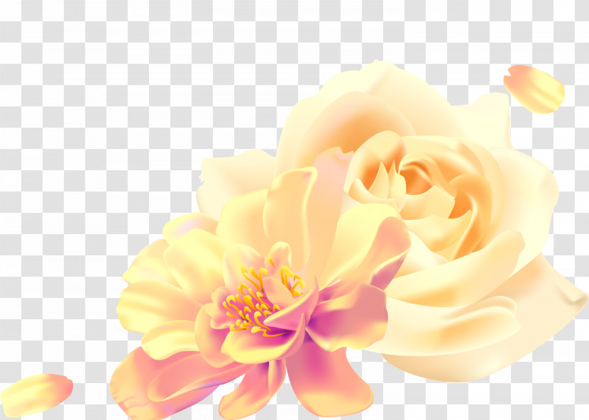 Two Flowers Two Roses Valentines Day Transparent PNG