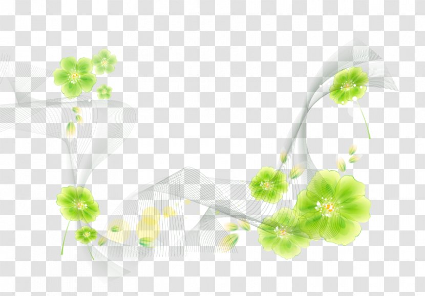 Flower Petal - Plant Stem - Green Flowers Transparent PNG