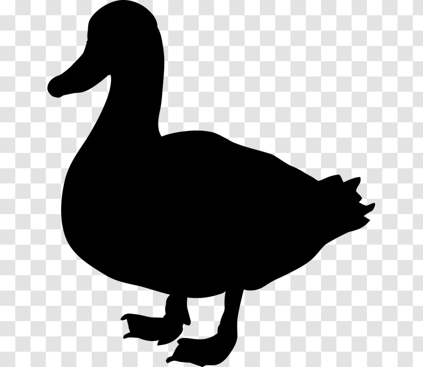 Duck Goose Clip Art Fauna Silhouette - American Black Transparent PNG