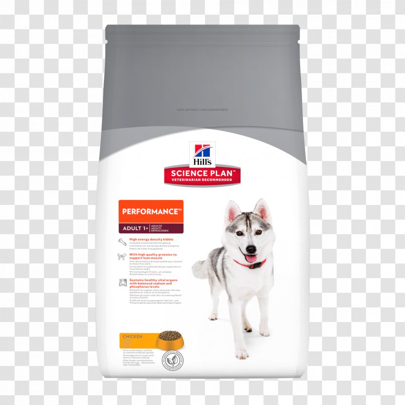 Dog Cat Food Puppy Science Diet Hill's Pet Nutrition - Breed Transparent PNG
