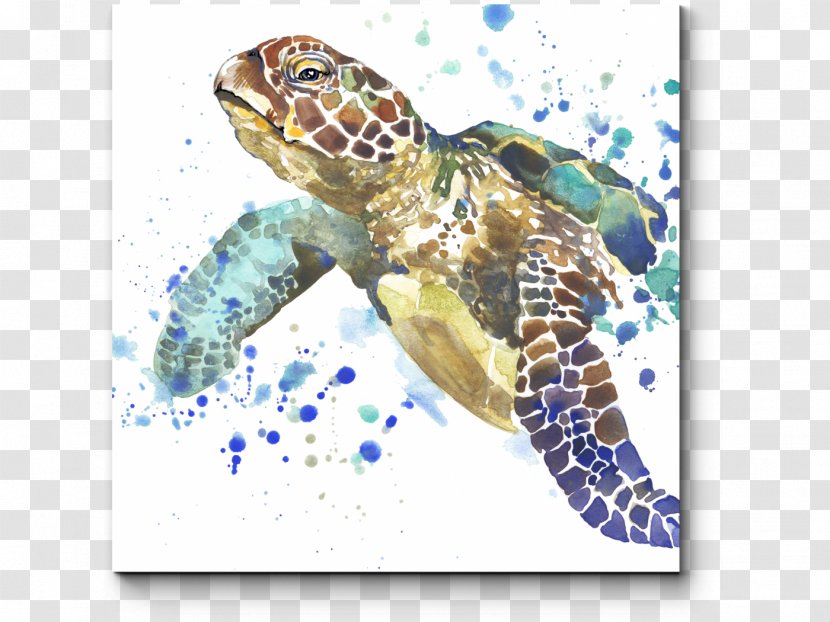 Sea Turtle Stock Photography Watercolor Painting - Drawing Transparent PNG