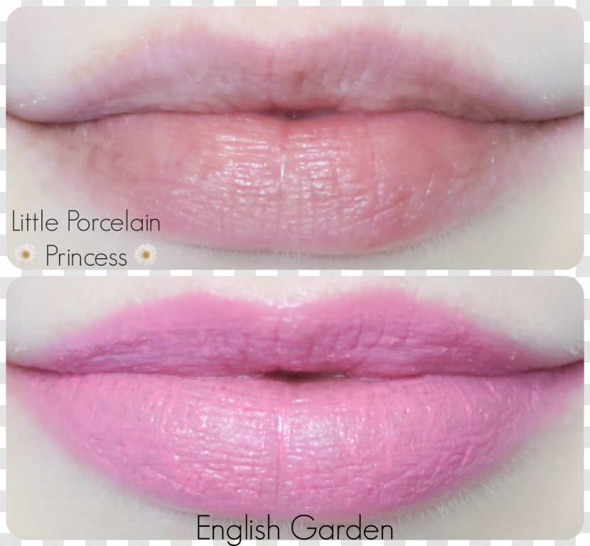 Lipstick Lip Gloss Etude House Tints And Shades Transparent PNG