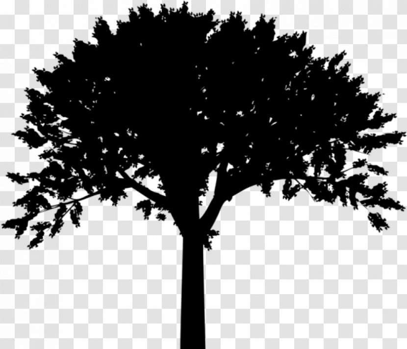 Meditation Symbol Vector Graphics Illustration - Blackandwhite - Share Icon tree Transparent PNG