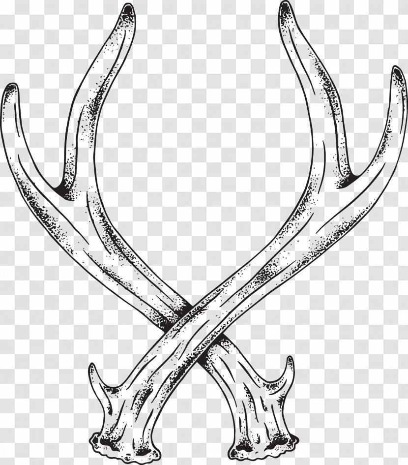 Deer Antler Horn Line Art Elk Transparent PNG