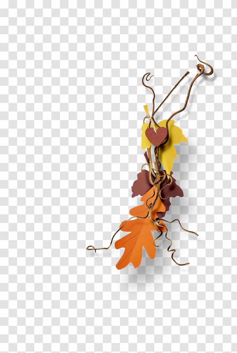 Image Adobe Photoshop Autumn Leaf - Plant - Ay Transparent PNG