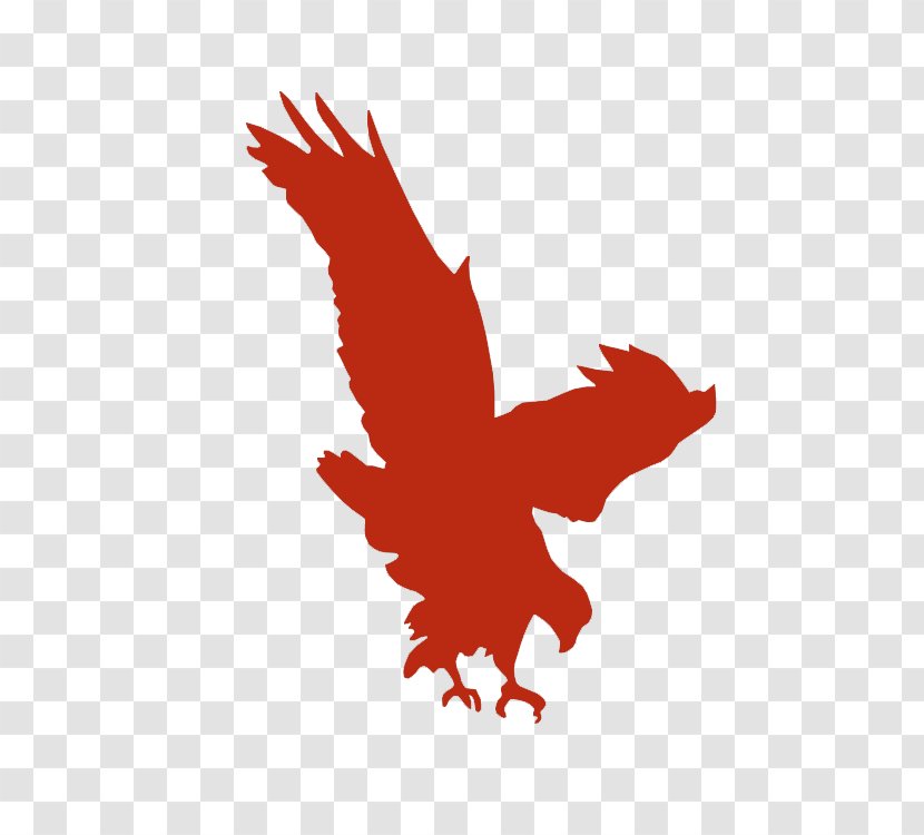 Logo - Rooster - Chicken Transparent PNG