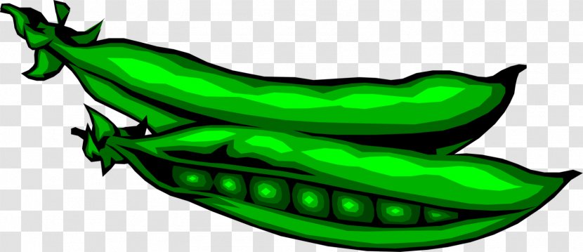 Green Pea Clip Art Vegetable Food - Pois Doux Petit Transparent PNG
