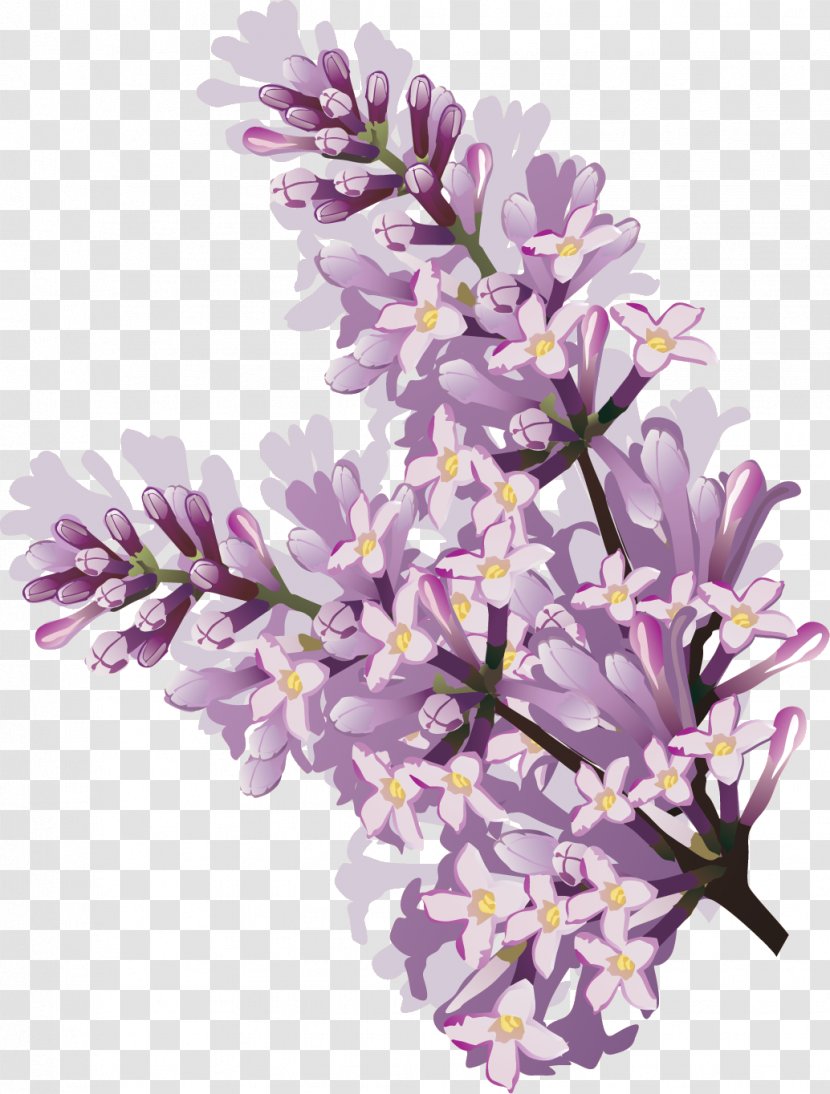 Lilac Flower Watercolor Painting Clip Art - Lavender Transparent PNG
