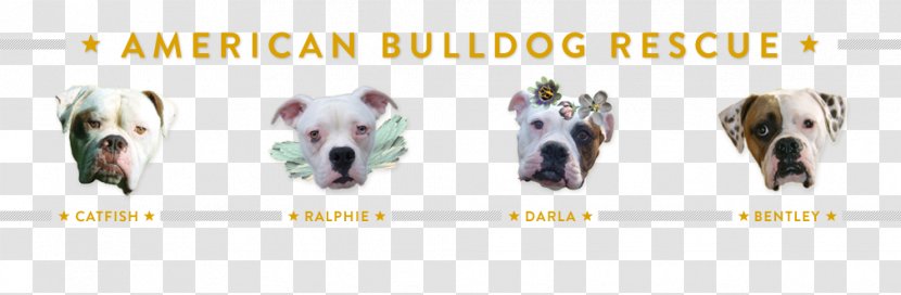 Dog Breed Shoe - American Bulldog Transparent PNG