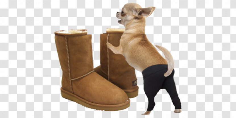 Yoga Pants Italian Greyhound Ugg Boots Dog Breed Clothing - Boot Transparent PNG
