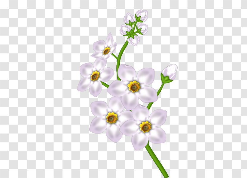 Flower Floral Design - Purple - White Transparent Clipart Transparent PNG