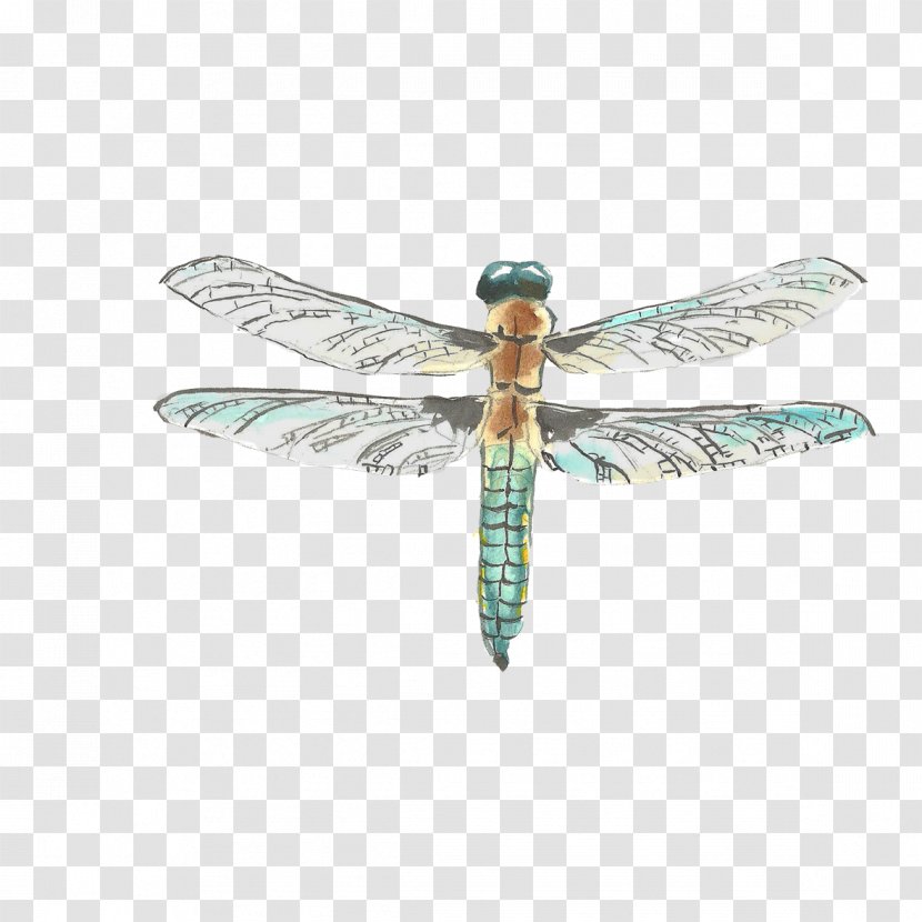Watercolor Painting Drawing - Creative Hand-painted Dragonfly Transparent PNG