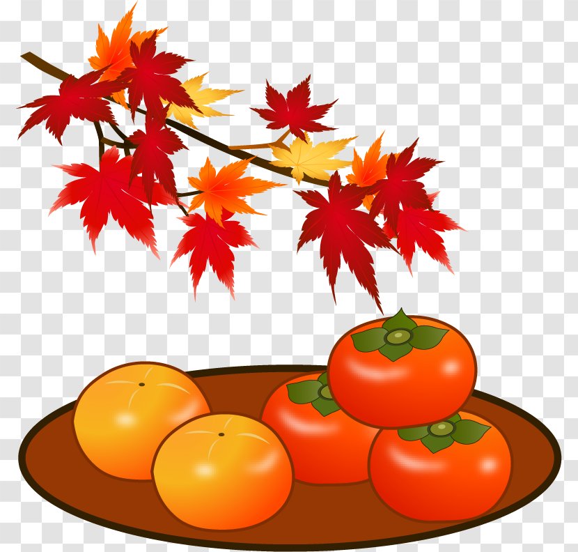 Tomato Japanese Persimmon Autumn Leaf Color Tannin - Fruit Transparent PNG