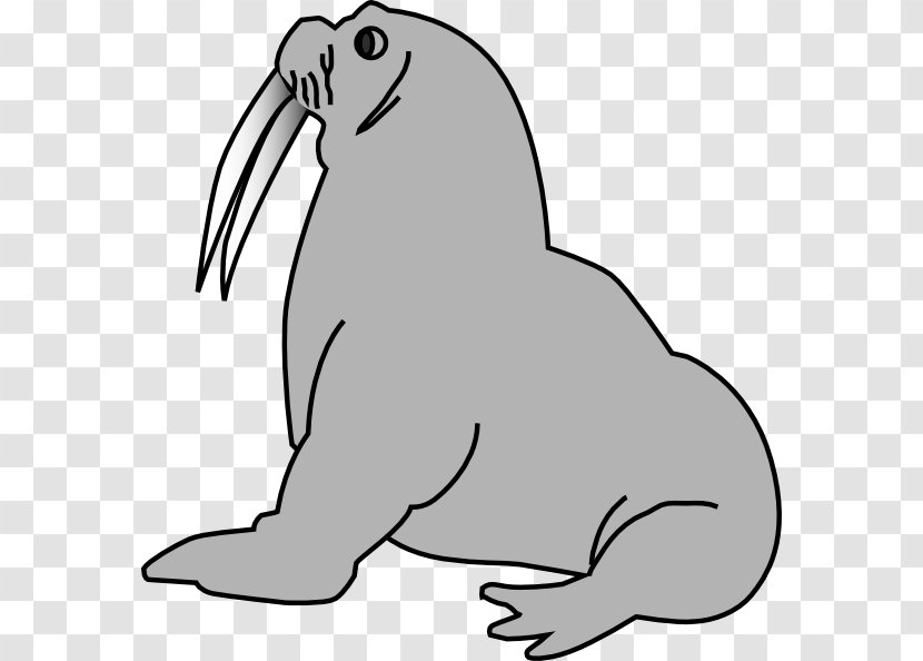 Pinniped Free Clip Art - Cute Cartoon Seals Transparent PNG