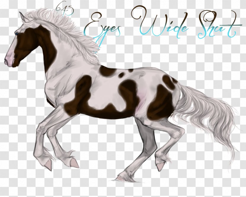 Mustang Mane Foal Mare Stallion - Horse Tack - Fell Pony Saddle Transparent PNG