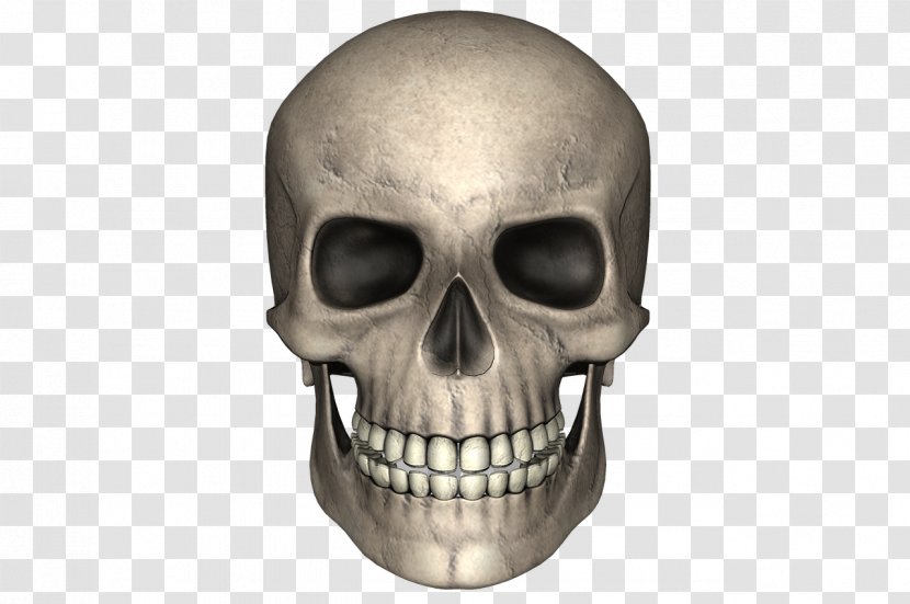 Skull Bone - Symbol - Scars Transparent PNG