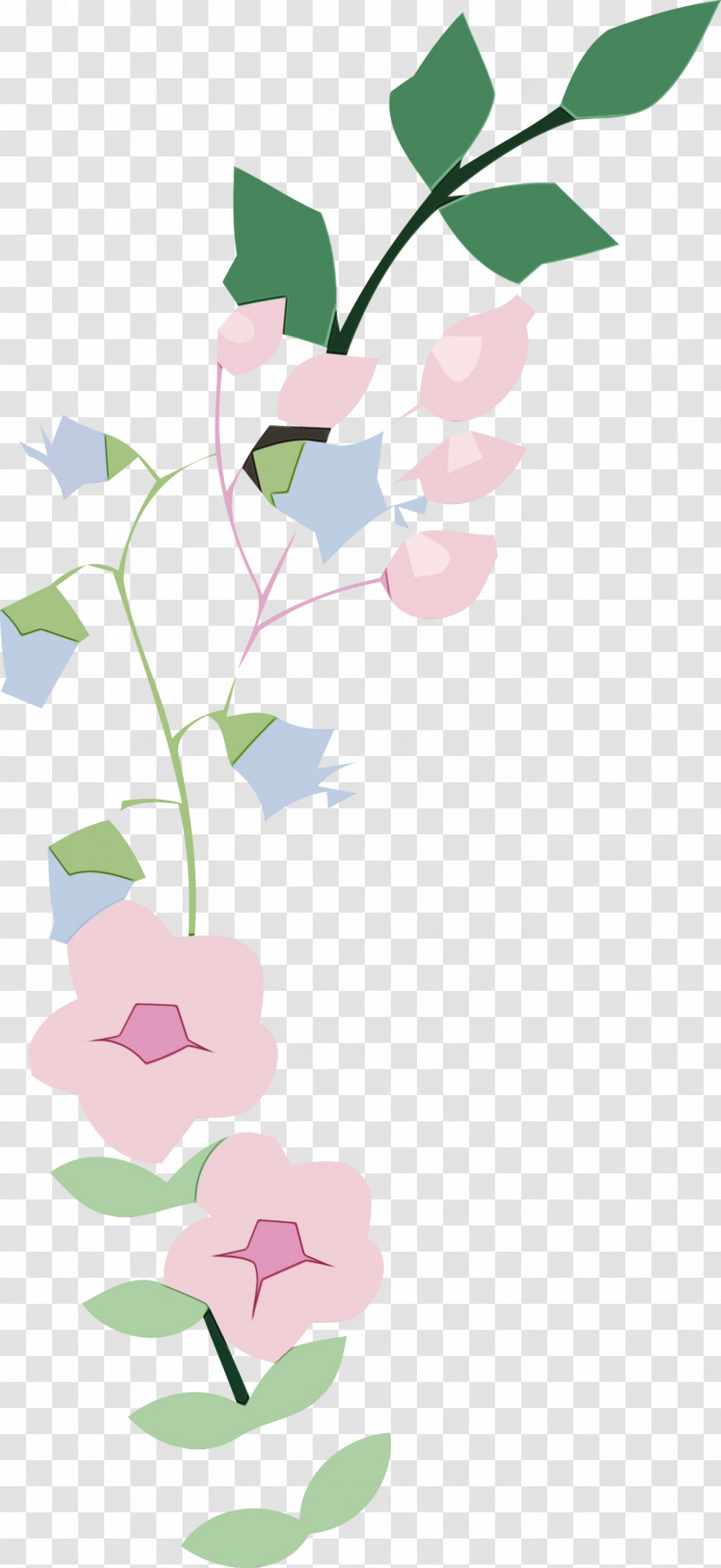 Floral Design Transparent PNG