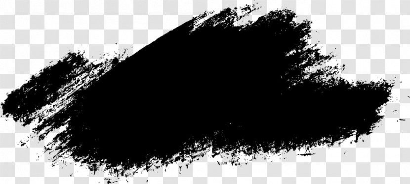 Paintbrush Black And White - Brush Art Transparent PNG