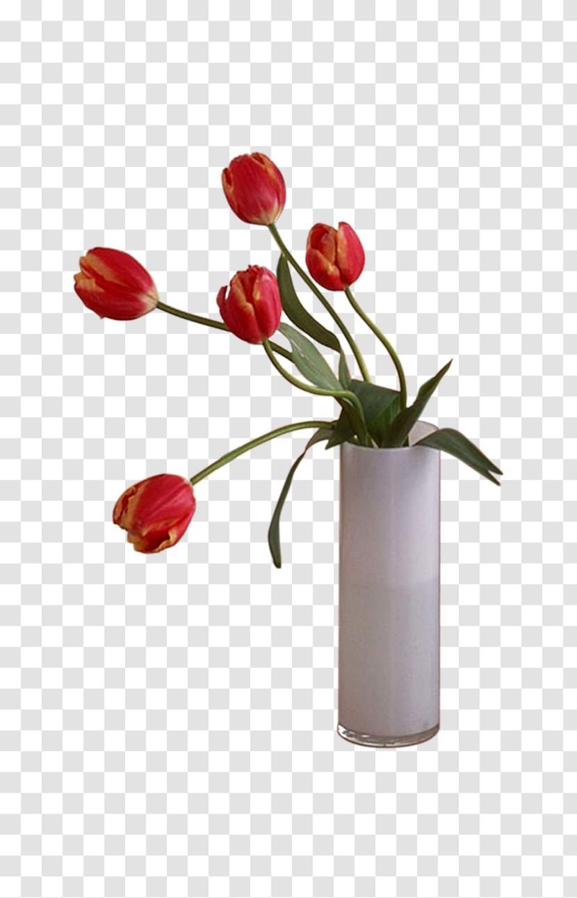 Floral Design Adobe Illustrator - Red Tulips Transparent PNG