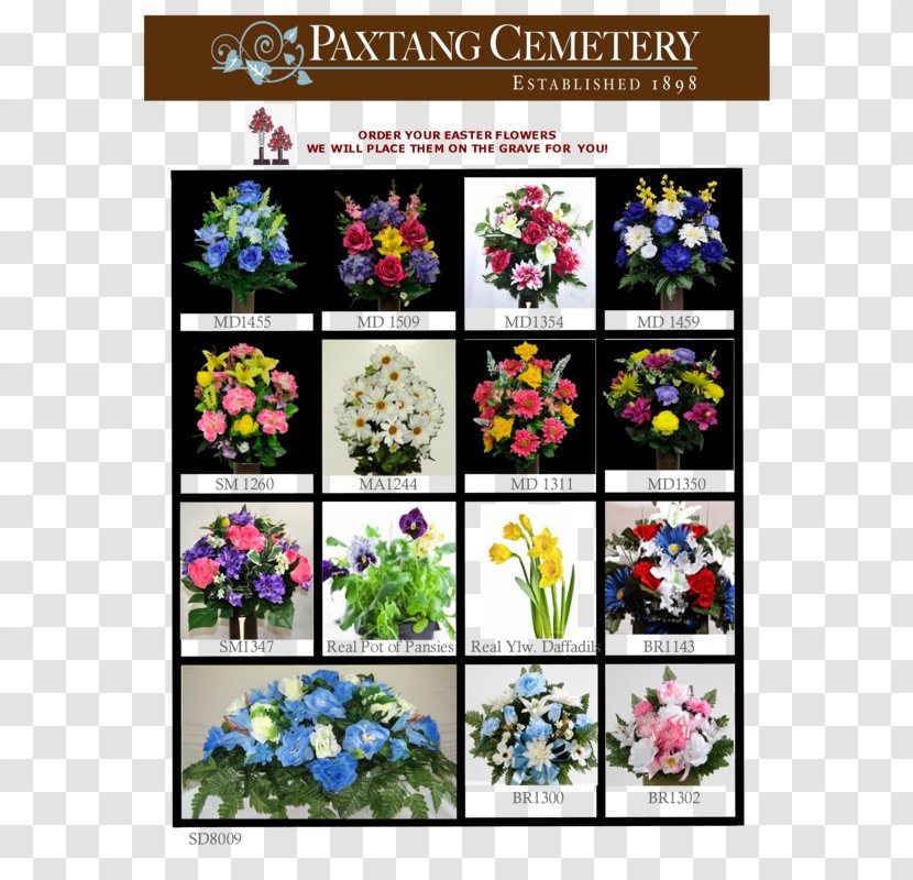 Floral Design Cut Flowers Flowering Plant Pattern - Spring - Flower Transparent PNG
